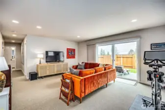 Basement living room