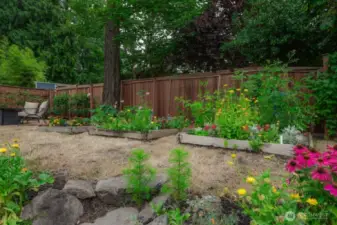 Many lovely flower beds