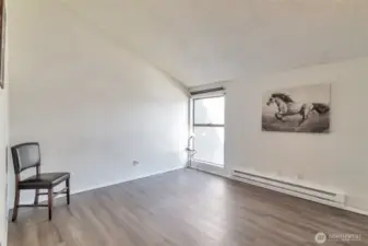 Spacious Bedroom