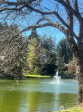 Serene lake living