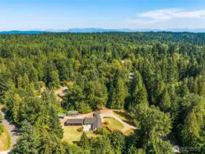 1.37 acres!