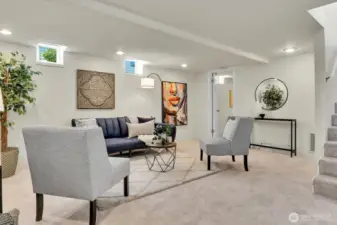 Basement Family Room and Bedroom Door