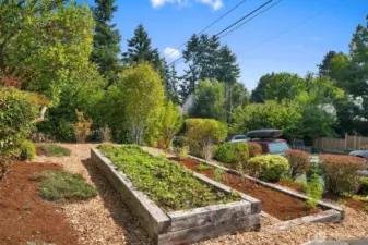 Front Yard Garden