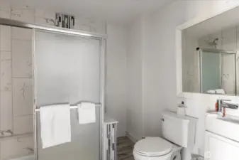 Lower Level Bath