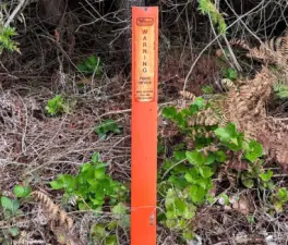 Fiber optics are buried along the western boundary of property facing Boone Road.