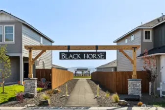 Welcome to Black Horse