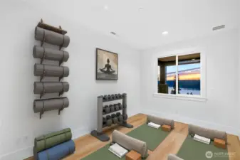 Gym/Yoga Studio Flex Space with beautiful view.