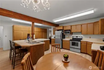 Large entertainer's kitchen