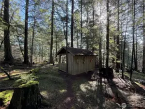 Magical forested setting with towering trees, expansive system of hiking trails and a level of privacy beyond imagination. You will be mesmerized by the beauty of the forest at every turn.