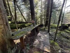 Numerous forest rest stops for enjoying a brief respite before continuing walking the land.
