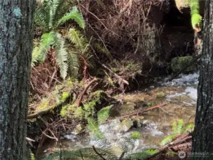 Listen to the soothing sounds of water of the creek
