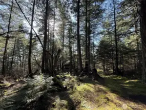 Developed and maintained trails throughout the property.