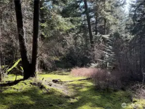 Cleared hiking trails abound throughout the land