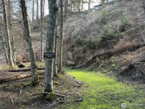 Path to community beach