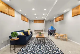 Large Bonus living space in basement