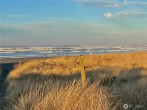 live in peace at the beach!