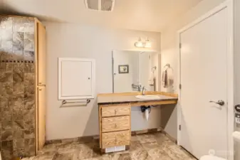 Main floor bathroom