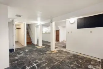 Basement (carpet and pad has been removed)