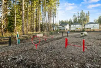 Dog Park