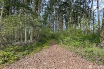There are maintained trails throughout the property. Be sure and walk them if you visit!