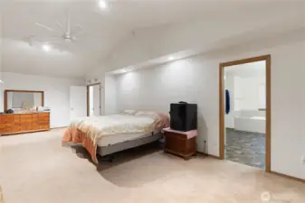 Vaulted ceilings in massive Owner's suite.