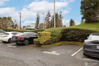 Parking spot 8 is handily located close to both entrances to the building and to unit 321.