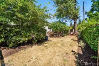 Great level lawn area in the backyard.