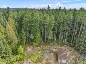 Property line staked and extends beyond tree line.