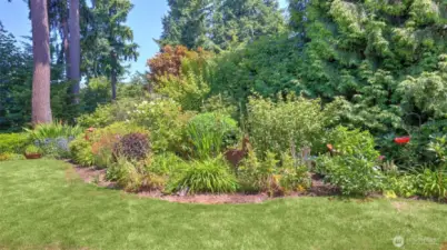 Colorful, established landscaping enhances the backyard with year-round beauty and privacy.