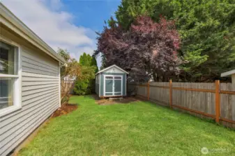 Side yard with shed.
