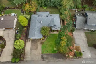 BIRDS EYE