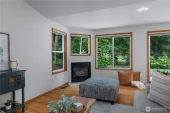 GAS FIREPLACE