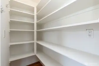 Rare walk-in pantry with plenty of storage