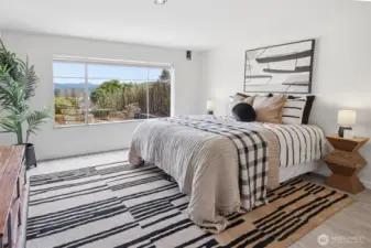 Lower level bedroom.