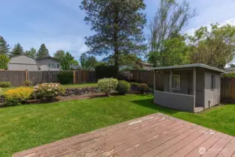 Backyard full of lush landscaping.