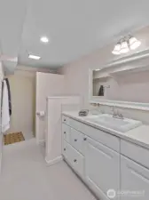 Bathroom in the Lower Level.