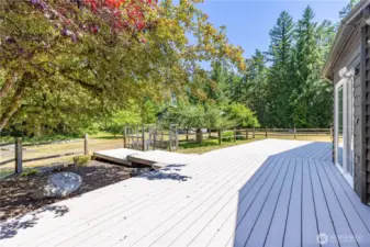 Entertainment sized deck