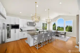 Professional appliances in bright kitchen.