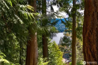 Water view from the lot.