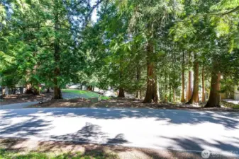 View from the road. Easy access and water, sewer and electric are all in the street.