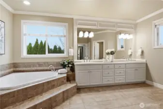 Primary Bath Area with Sunken Floor
