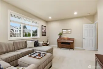 Bonus / Theater Room