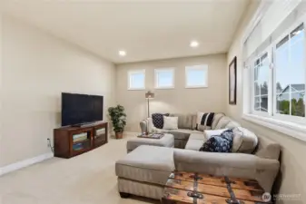 Bonus / Theater Room