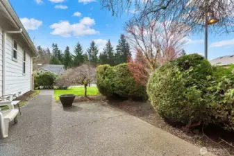 Large Patio with West Exposure on the side of the Home.