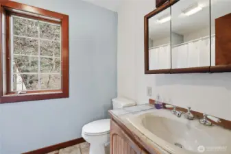 Jack and Jill bathroom