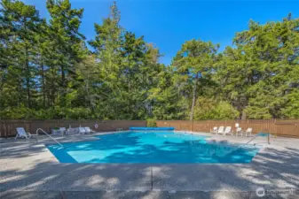 Community pool
