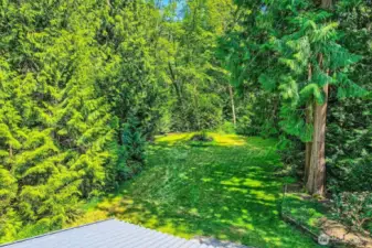 Private back yard.