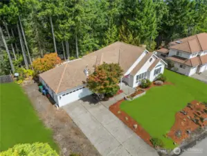Virtually Green