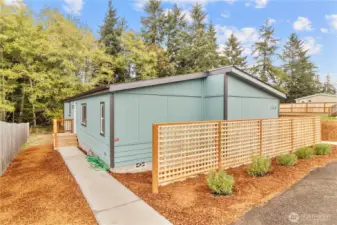 New concrete walkways lead to the back door and backyard.