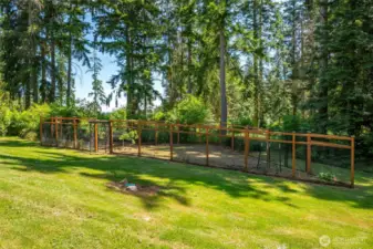 Fully fenced garden with single & double gates-established orchard & fruit bushes